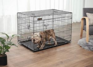 Meilleure cage en métal pour chien