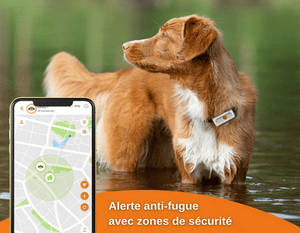 Avis Collier GPS pour chien - Weenect Suivi GPS en temps réel en promotion