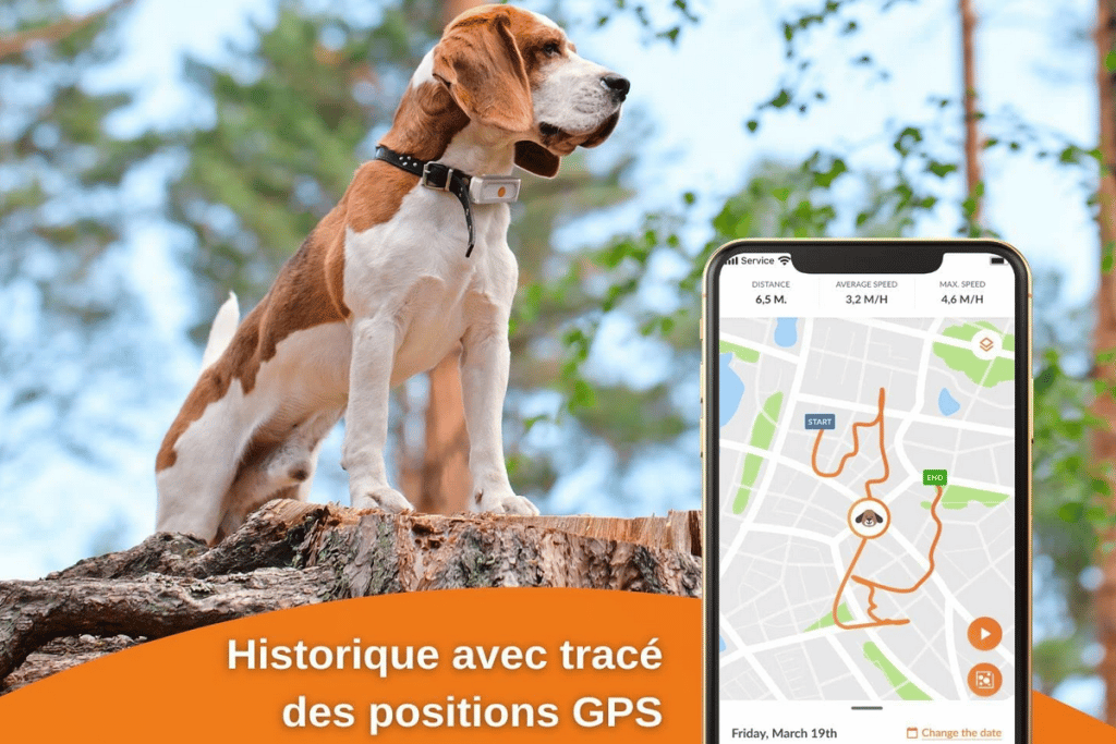 Meilleur traceur GPS chien pas cher