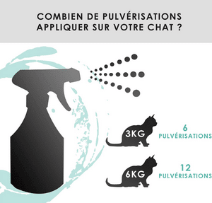 traitement naturel contre les puces chat